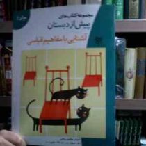 مجموعه کتاب های پیش از دبستان :آشنایی با مفاهیم قیاسی جلد 1 (گروه آموزشی خانه ادبیات)