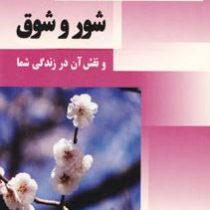 راهنمای عملی شور و شوق (نورمن وینسنت پیل.افشین ابراهیمی)