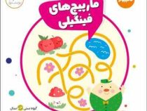 مارپیچ های فینگلی (تیم کارشناسی پرستو)