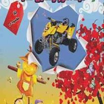 دیدآموز وسایل نقلیه (لیلا مقصودی)