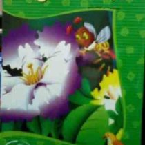 بهار.پرندگان.حشرات (آذر میدخت ونکی)