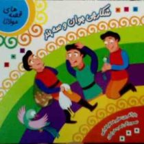 قصه های مولانا : شکارچی جوان و سه پند (علیرضا طباطبایی)