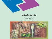 پتریدوفیتها ( نهانزادان آوندی )