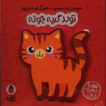 تولد گربه جونه : هزار تا شعر یه نی نی (زهرا موسوی)