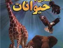 آشنایی با حیوانات (علیرضا ملاعباسی)