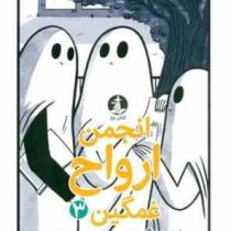 انجمن ارواح غمگین 3 روح هم زبانتان را پیدا کنید (لیز مدینگز.نفیسه خسروجردی)