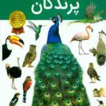 دانستنی های شگفت انگیزی از پرندگان