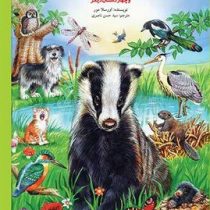 دو زاغ طمع کار و چهار داسان دیگر(اورسلا مور.سید حسن ناصری)