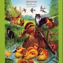 جوجه اردک بازیگوش و چهار داستان دیگر (اریکا شوئرینگ . سید حسن ناصری)