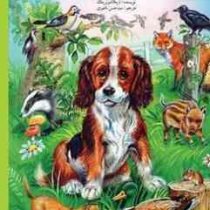 حادثه ی خطر ناک و چهار داستان دیگر (اریکاشوئرینگ.سید حسن ناصری)