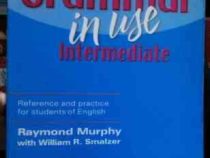 Grammar in Use Intermediate 2ed گرامر این یوز اینترمدیت ویرایش2
