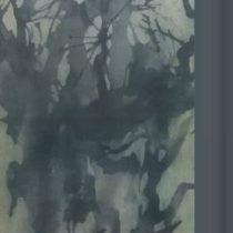 شکست سکوت (کارو