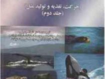 بیولوژی پستانداران دریایی:حرکت تغذیه و تولید مثل جلد دوم(راس هولزل . شهلا جمیلی . زهرا علوی درچه)