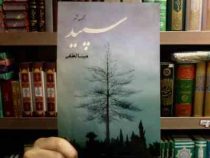 مجموعه شعر سپید ( مینا لطفی)