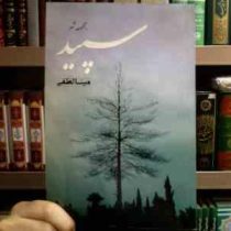 مجموعه شعر سپید ( مینا لطفی)