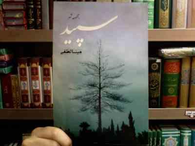 مجموعه شعر سپید ( مینا لطفی)