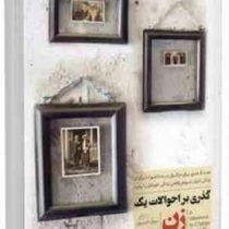 گذری بر احوالات یک زن ( چوآن اندرسون . رضا میر ارجمند )