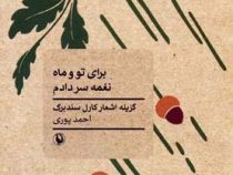 برای تو و ماه نغمه سر دادم (گزینه اشعار کارل سندبرگ) (احمد پوری)