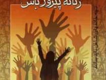 مردانه بازی کن زنانه پیروز باش : آنچه خانمهای شاغل باید بدانند ( گیل ایوانز ،ویدا اسلامیه)