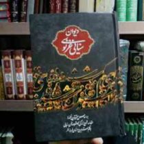 دیوان سنایی غزنوی : براساس معتبرترین نسخه ها (استاد بدیع الزمان فروزانفر)