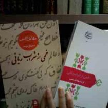 خمی از شراب ربانی گزیده مقالات شمس : از میراث ادب فارسی (محمد علی موحد)