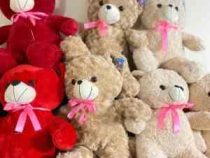 عروسک خرس رز 50 سانتی