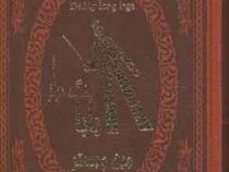 بابا لنگ دراز جین وبستر (سارا شکوهی نیا . جیبی . چرم پارمیس)