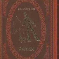 بابا لنگ دراز جین وبستر (سارا شکوهی نیا . جیبی . چرم پارمیس)