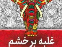 نقاشی بزرگسالان غلبه بر خشم(رنگ آمیزی)