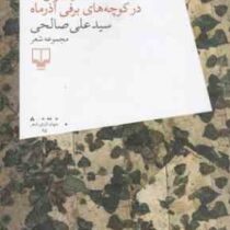 دختر ویولن زن در کوچه های برفی (مجموعه شعر)