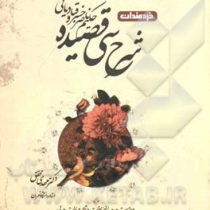 شرح سی قصیده حکیم ناصر خسرو قبادیانی ( مهدی محقق )