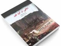اتاقی از آن خود ( ویرجینیا وولف .هدی طاهری)