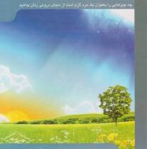 فقط مردان بخوانند : چه چیزهایی را بعنوان یک مرد لازم است از دنیای درونی زنان بدانیم ( شانتی فلدهان .