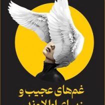 غم های عجیب و زیبای اوالاوندر (لزلی والتن . ثمین صداقت کار)