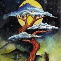 به دنبال ماه (جیمز نوربری.مرضیه ناصرخانی)