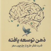 ذهن توسعه یافته : قدرت تفکر خارج از چارچوب مغز (آنی مورفی پل، فاطمه امیدی)