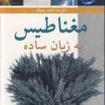 مغناطیس به زبان ساده (سارا سادات پرهیزگار)