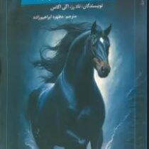 اسب سیاه : راهنمایی برای رسیدن به موفقیت (تاد رز.اگی اگاس.مطهره ابراهیم زاده)