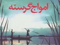 امواج گرسنه (آمیتاو گوش، ناهیده هاشمی)
