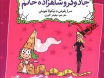 زوک جادوگر : جادوگر و شاهزاده خانم