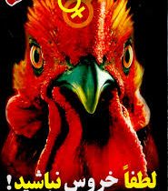 لطفا خروس نباشید : موفقیت و کامیابی در روابط جنسی(ر.ف)