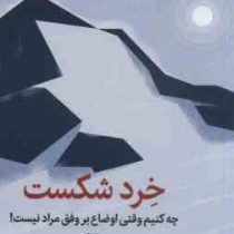 خرد شکست .چه کنیم وقتی اوضاع بر وفق مراد نیست (الیزابت دی . هاجر علی پور )