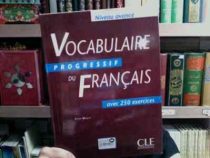 وکبری پراگرسیو vocabulaire progressif du francais - niveau avance 250 (قهوه ای)