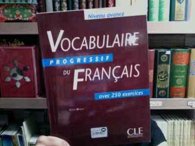 وکبری پراگرسیو vocabulaire progressif du francais - niveau avance 250 (قهوه ای)