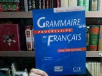 گرامر پراگرسیو grammaire progressive du francais - niveau intermediaire 500 (آبی)