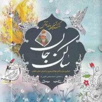 رنگ آمیزی با خط و نقاشی ساکن جان (مجتبی فائزی راد)