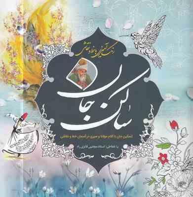 رنگ آمیزی با خط و نقاشی ساکن جان (مجتبی فائزی راد)