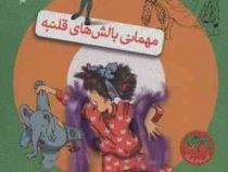جونی بی جونز 9: مهمانی بالش های قلنبه (باربارا پارک، مژگان کلهر)