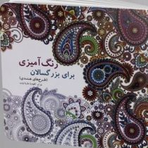 رنگ آمیزی برای بزرگسالان:طرح های هندی (کلودیا ماریا ویب)