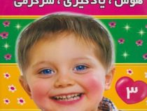 تقویت هوش : هوش،یادگیری،سرگرمی 3 (علیرضا مرتضوی کرونی)
